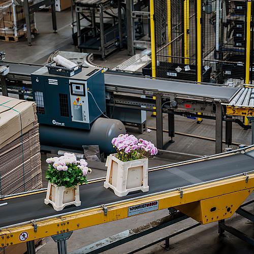 Bloemen in kunststof kratten die over een lopende band bewegen in een geautomatiseerde productie- of sorteerruimte.