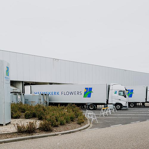 Distributiecentrum van Heemskerk Flowers met meerdere vrachtwagens aan het laadperron en het bedrijfslogo zichtbaar op gevel en trailers.